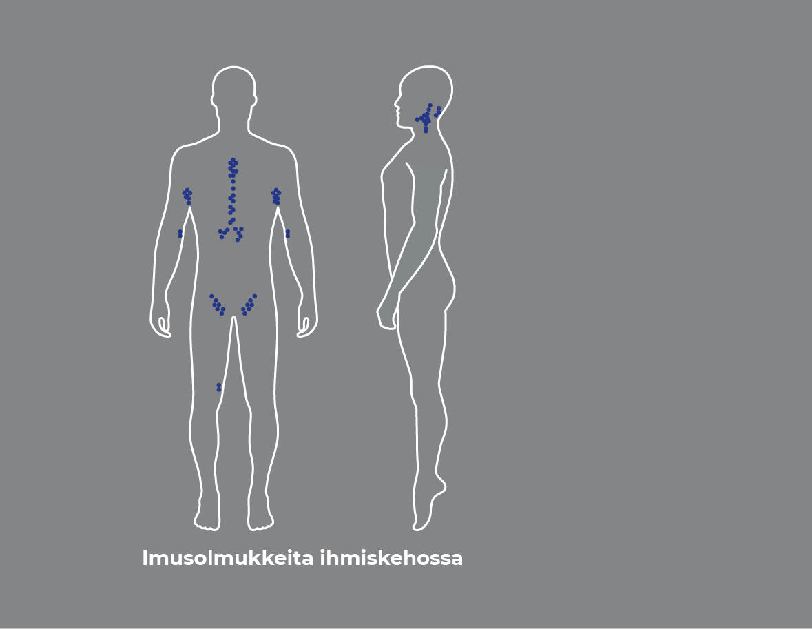 Lymph nodes in the human body
